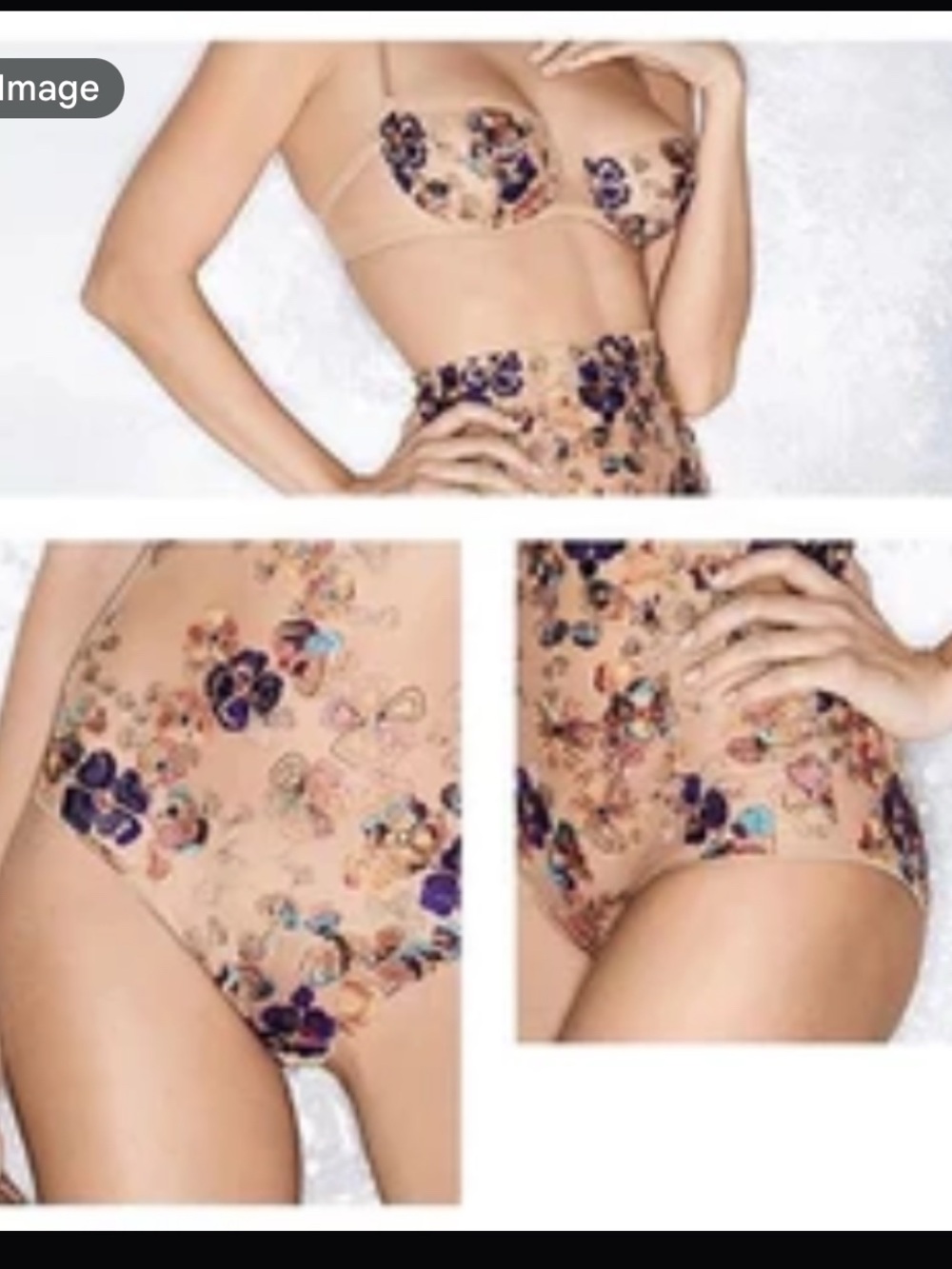 🌸I.D. Sarrieri Wonderland Delights -Copper Haze 2PC Set ✨36B +XL - Picture 9 of 9